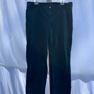 Talbots Women’s size 16  Green Pants with Classic Style